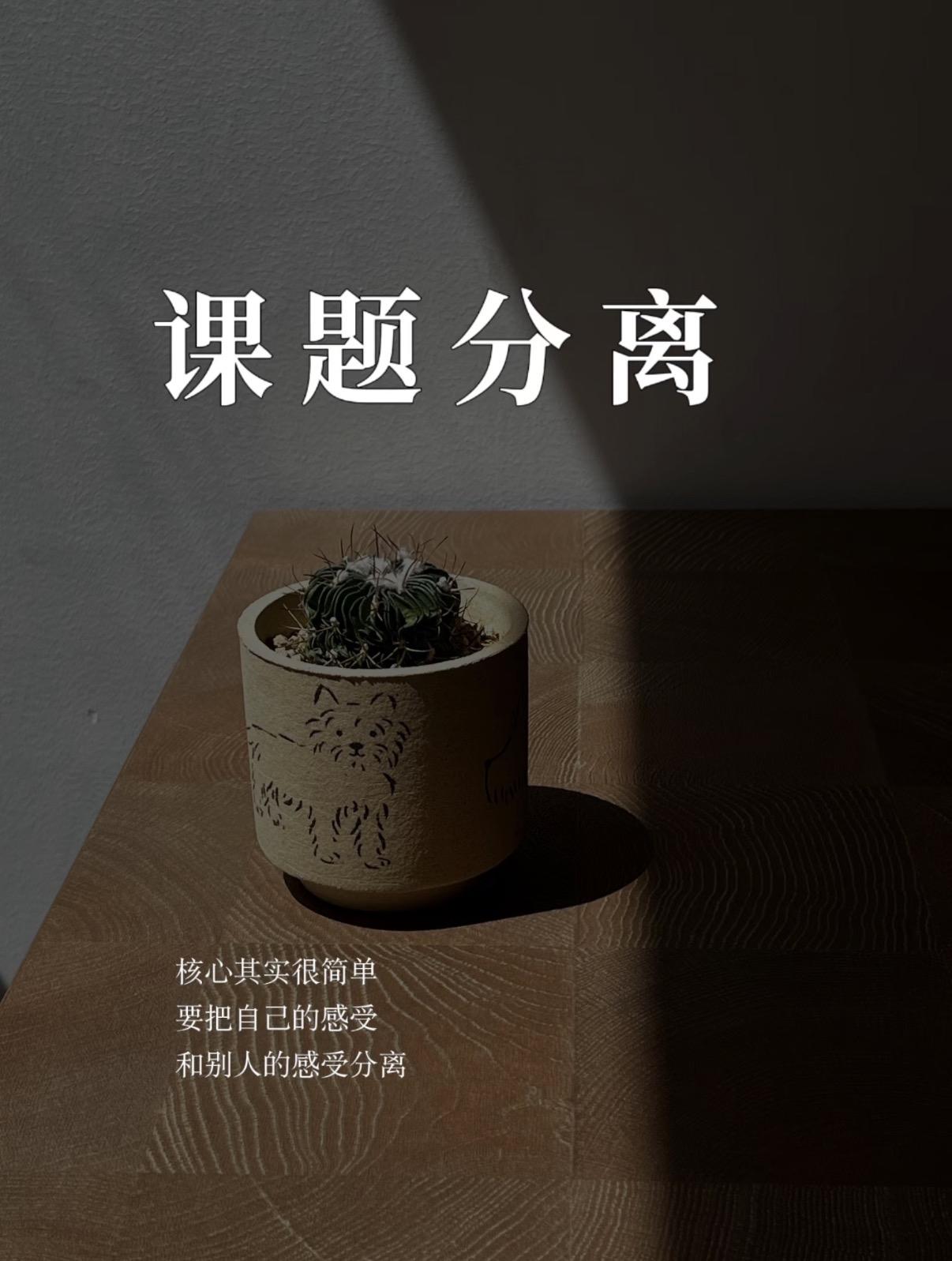 人生多支点，学会课题分离

今早刷到冯唐的一段视频：如果人的重心只剩工作，他的内