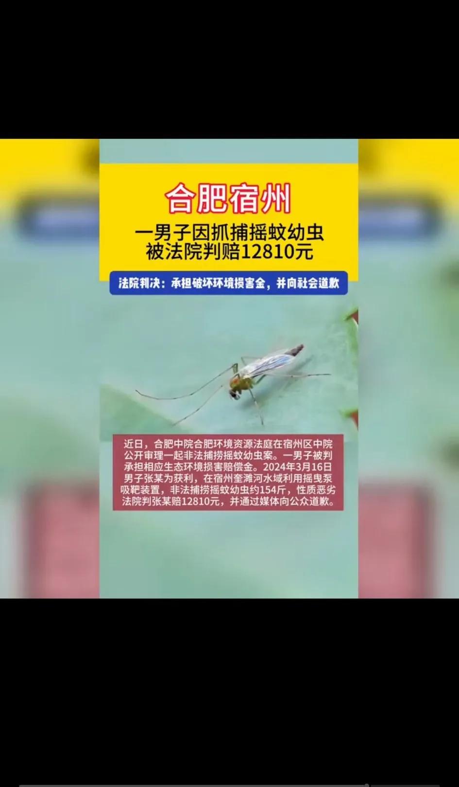 近日宿州一男子抓蚊子幼虫被判违法，被罚款一万多元！这充分说明蚊虫可以传播病毒，但