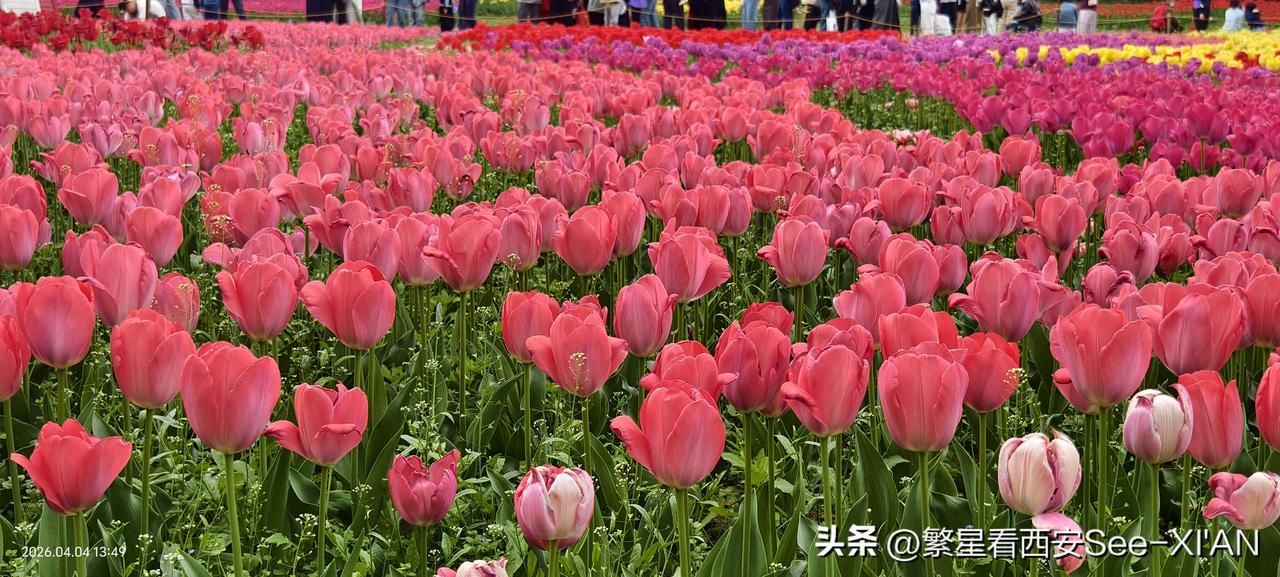 前所未有的开心。各种颜色的花朵摆成了心型，旁边还有一架浪漫的芬兰风车。来看看，美