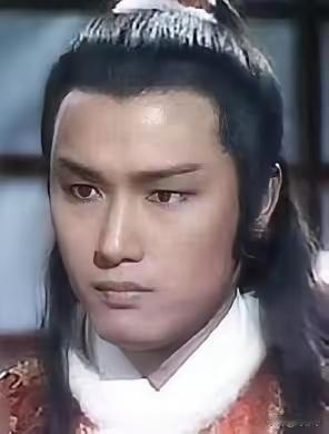 苗侨伟是天选杨康，犹如一座高山，其他的人再怎么攀登，都无法达到他的高度。哪怕帅气