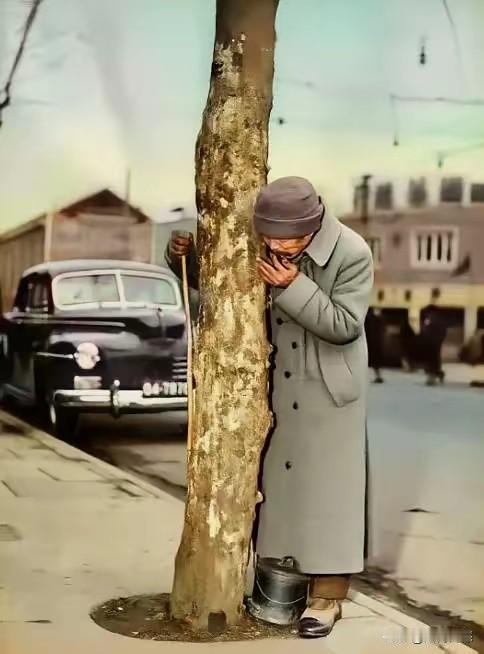 老人在啃树皮？乍一看真有点像，但是仔细一想，又不太可能，树皮这东西，不可能就这么