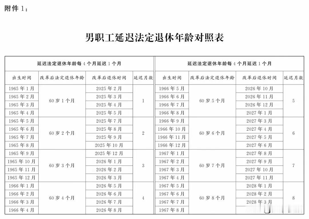 看看你会延迟退休几个月？大象新闻权威发布