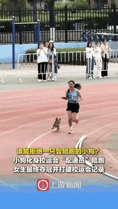太好哭了！内蒙古一高校女生跑3000米，平时总喂的小狗突然冲上场陪跑，直接把她送