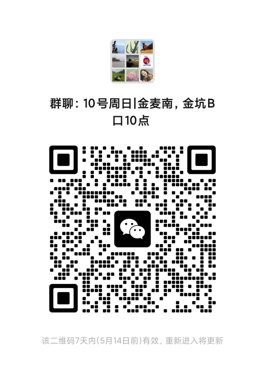 周日爬山的进，混子勿扰