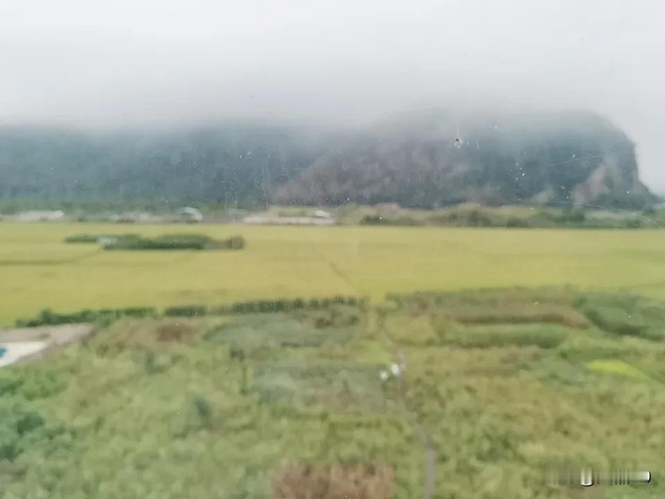 工作不力的科室领导常说的三句话！

最近，参加一个工作组到各市县调研，发现抓工作