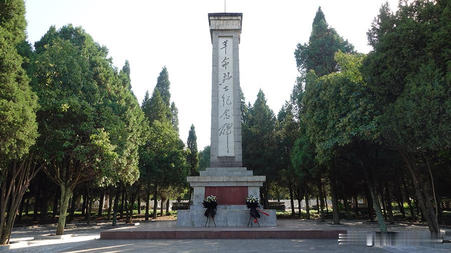 清明，那个永远的约定

又是清明。

细雨如丝，落在烈士陵园的青石板上。我蹲下身