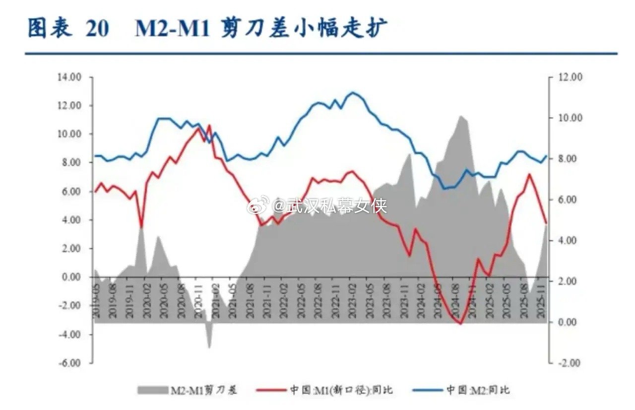 12月金融数据也释放关键信号：社融降至8.3%（剔除政府债仅6.1%），反映社会