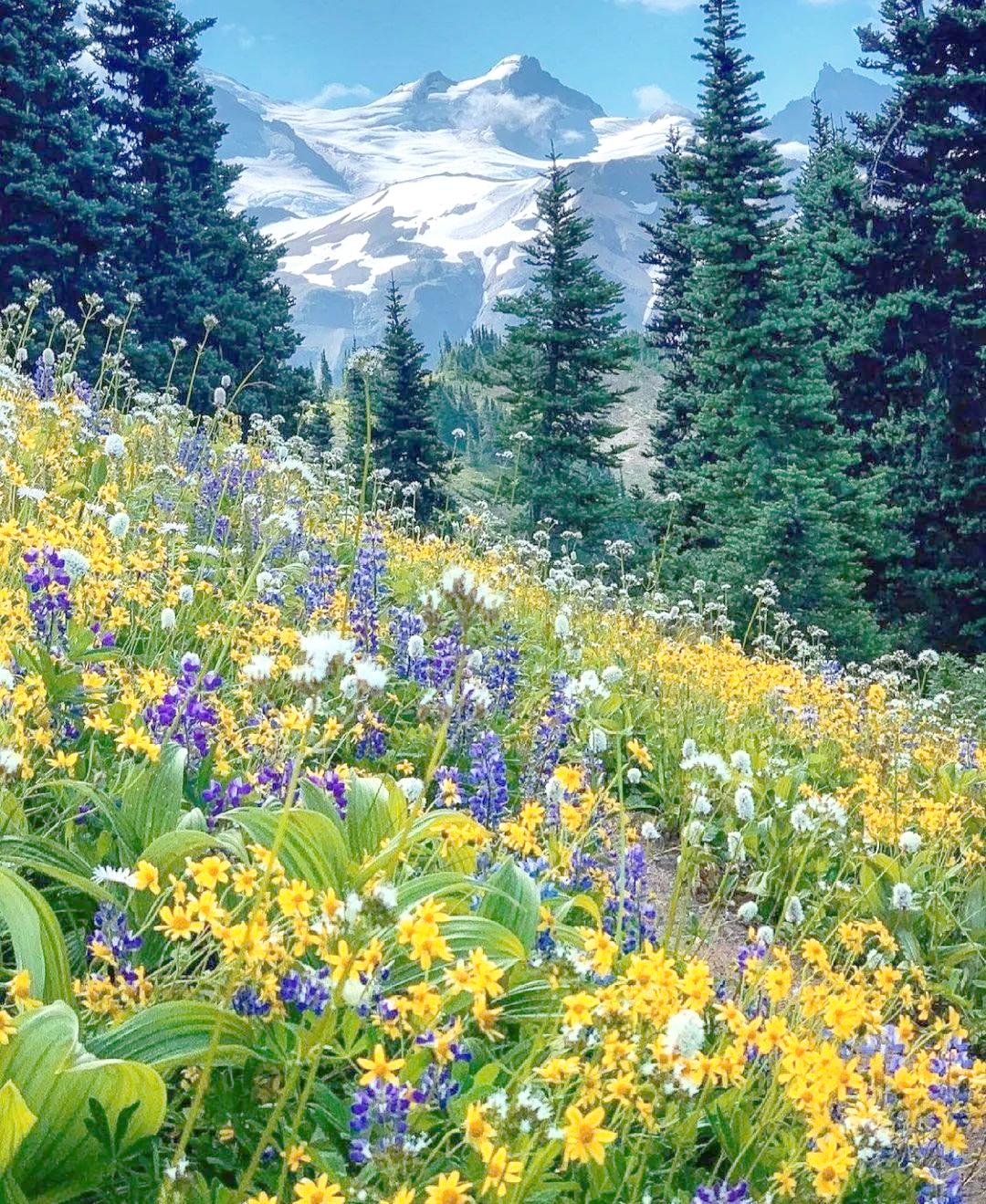 别再错过当下

生活是个宝库，
而你，却总低着头找钥匙。

睁开眼，阳光正好。