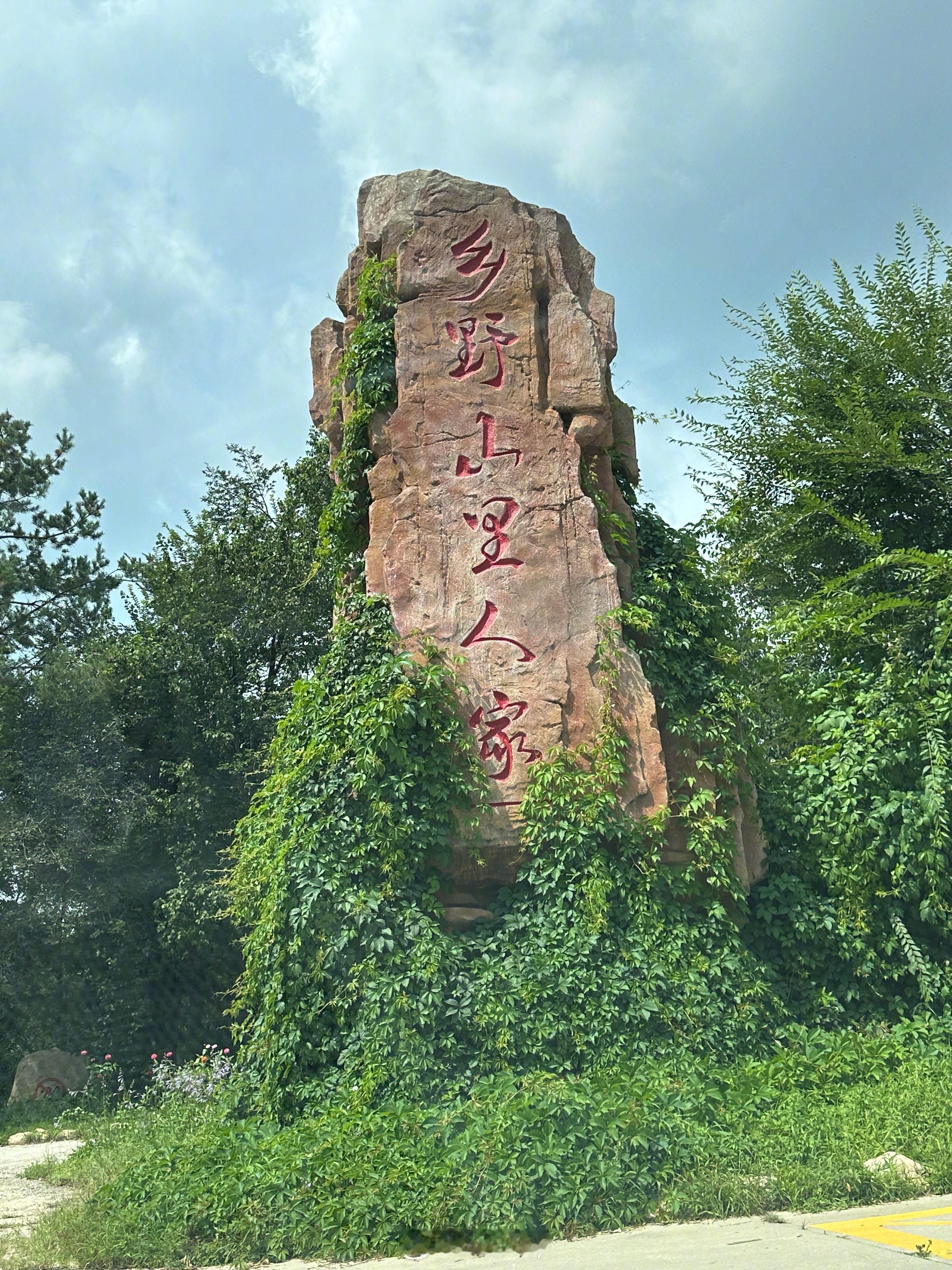 今天来山里玩玩，吃饭，主打一个原生态！#东北电吹#  ​​​