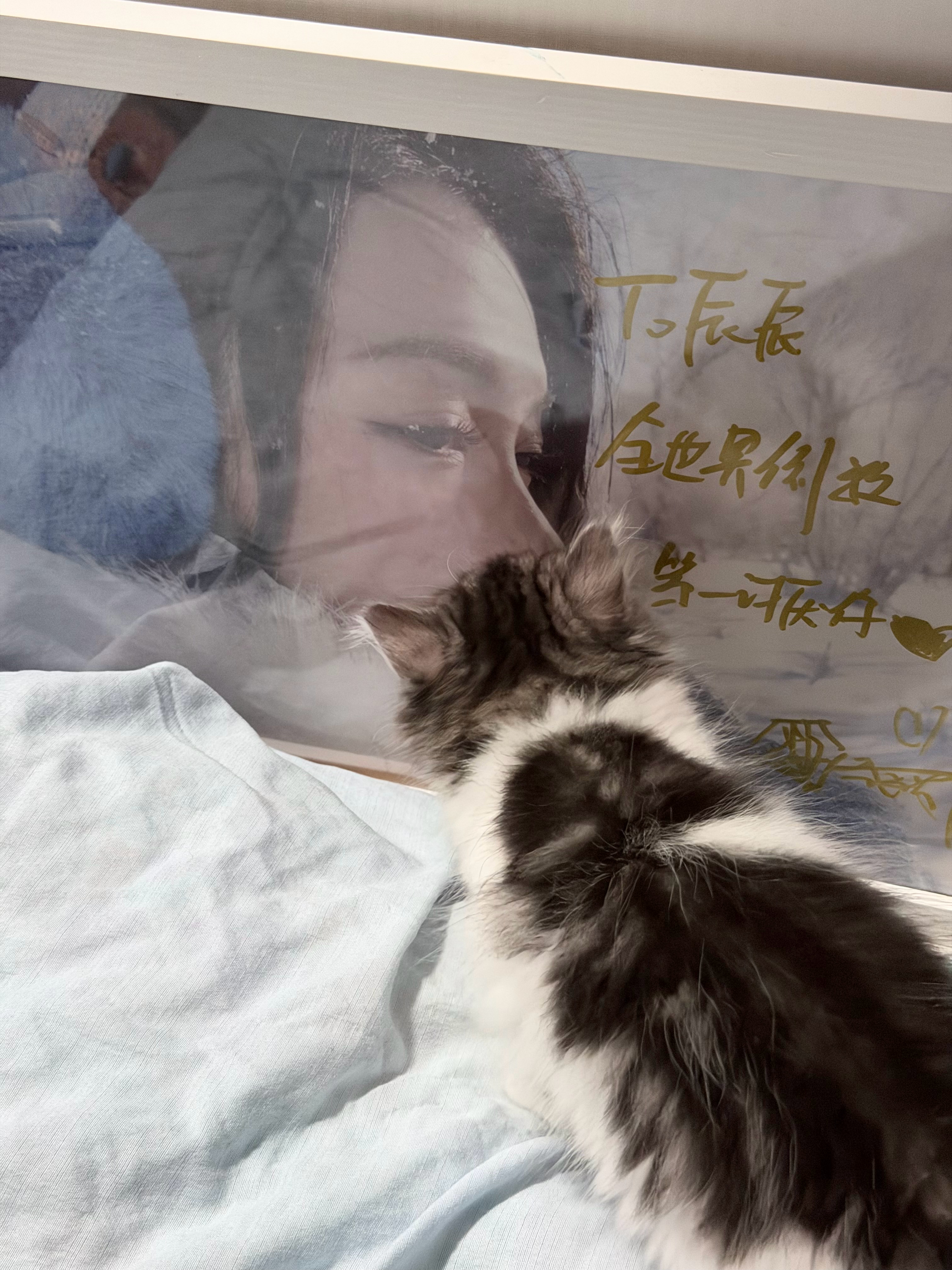 诶诶诶？什么意思 