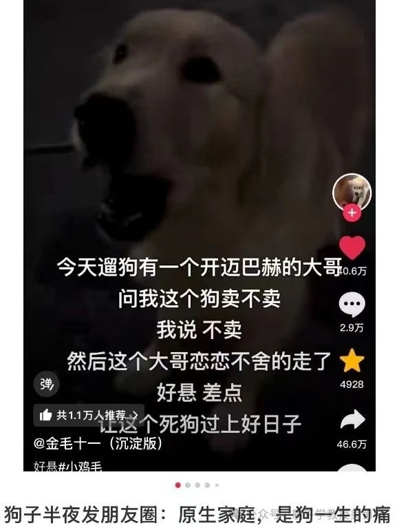 原生家庭，是狗一生的痛[doge] ​​​