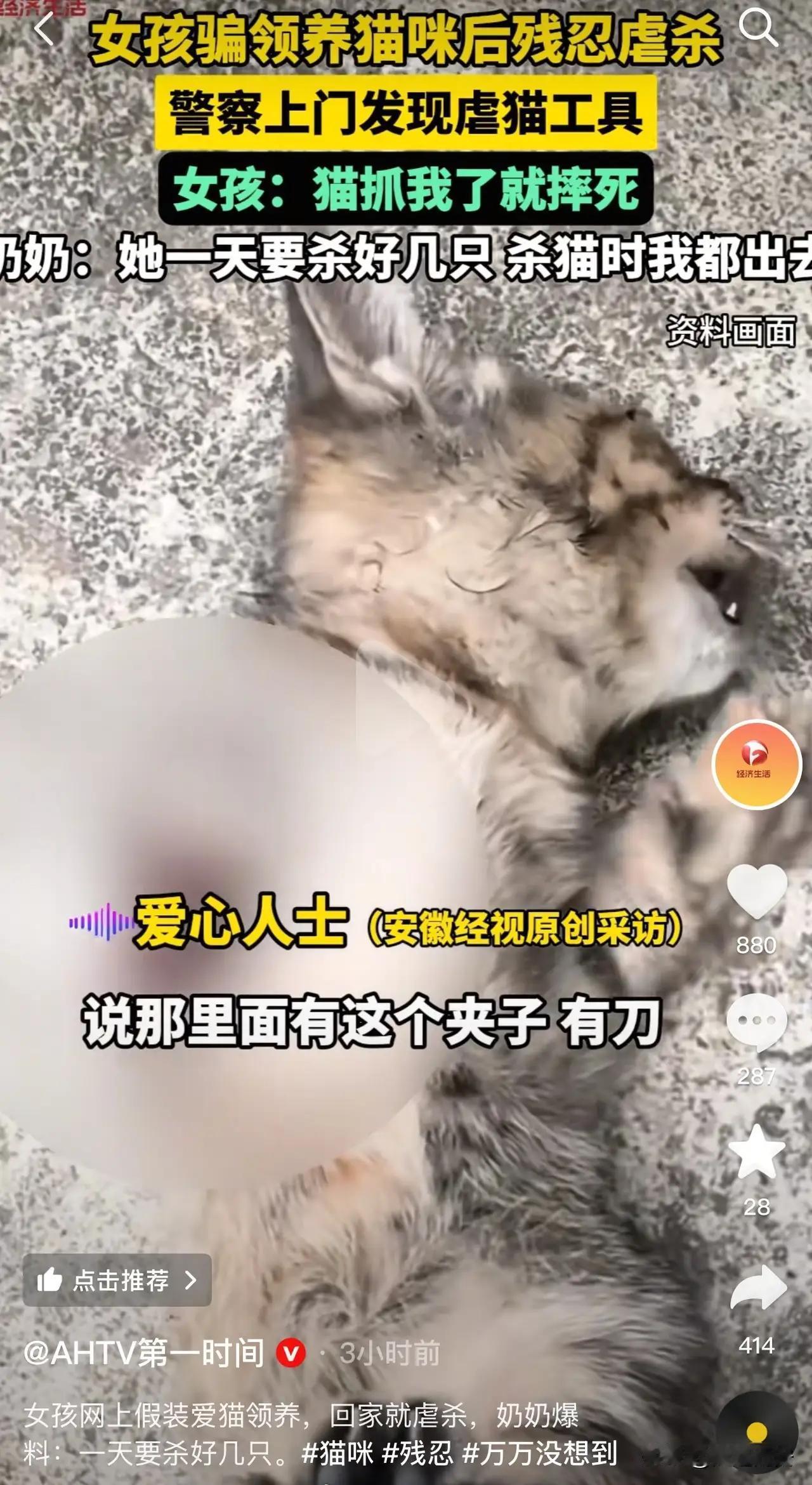 太残忍了！山东菏泽，一女孩在网上假装喜欢猫来骗领养，结果回家后就虐杀，她奶奶称，