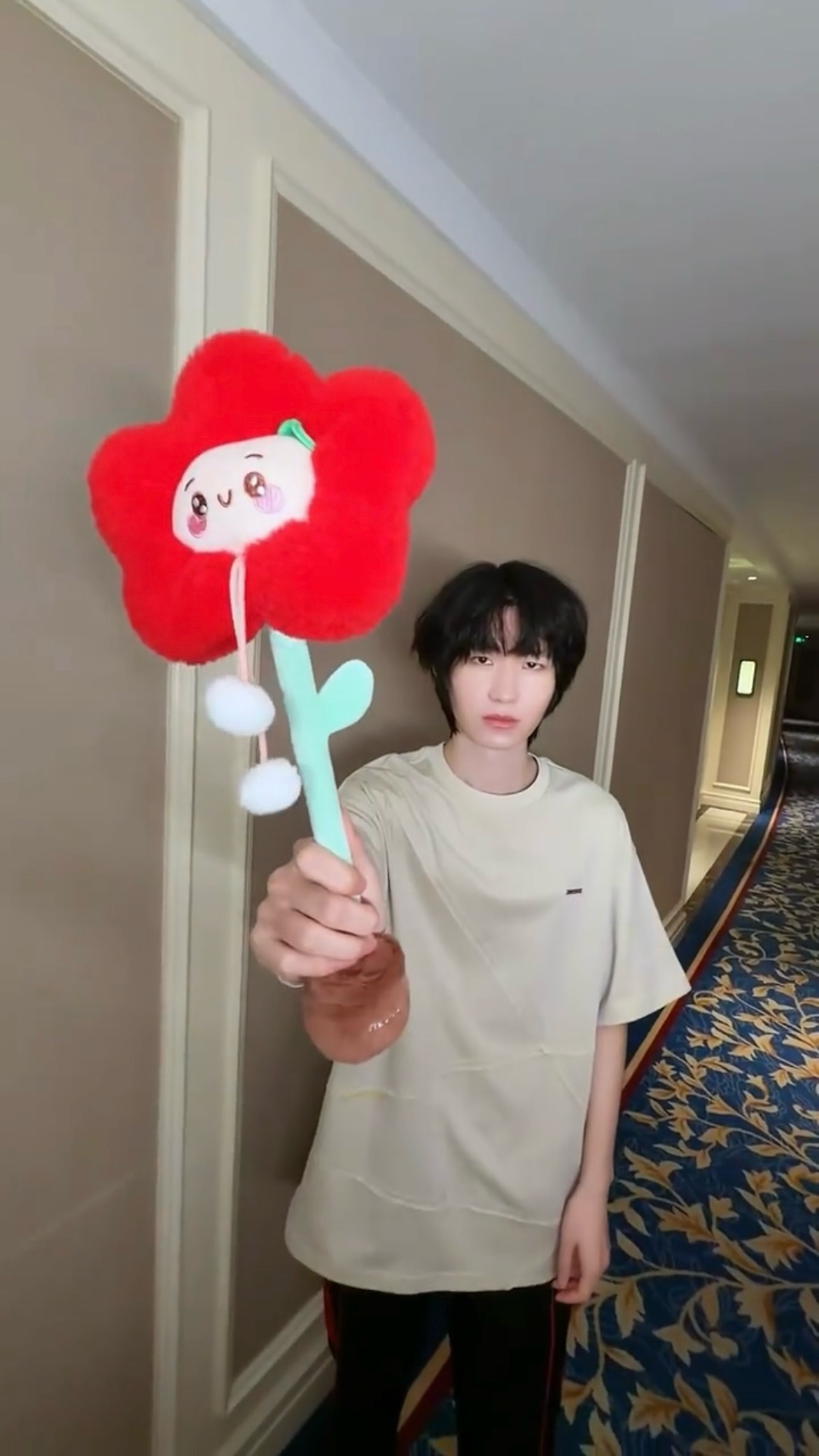 请问这个是呆呆吗A.是            B.yes 