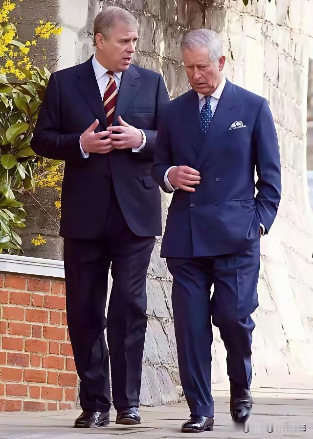 查尔斯和安德鲁站在一起的时候，安德鲁显得比查尔斯要高大一些，也更帅气一些，他的这