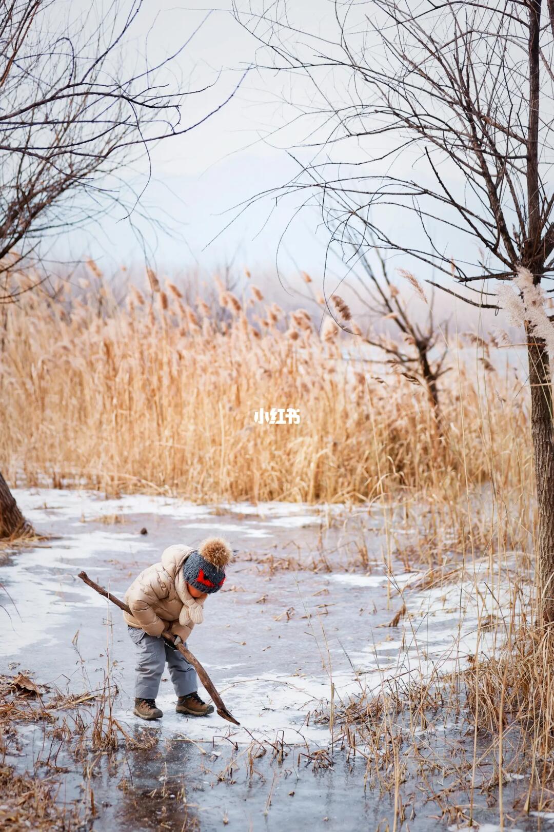 延庆一日游🎏年代感火车站+古城+妫河赏冰
