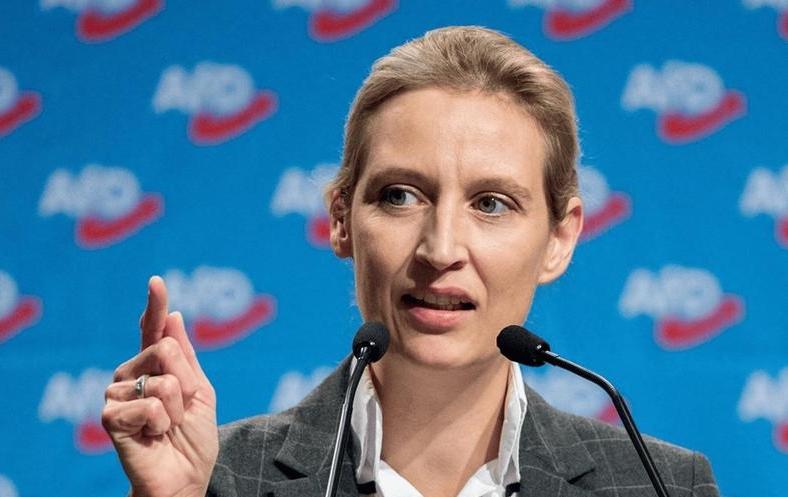 魏德尔与默茨在政策上的分歧有多大？


德国政坛里，魏德尔（选择党）和默茨（基民