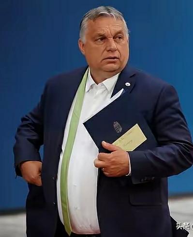 为啥欧尔班这样肥胖？
他吃着人间最好的美味佳肴，一群人伺候着，根本不用动弹，所以