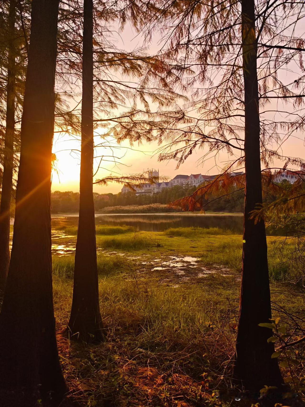 到底是先串门、拜访、评论，再去写，还是先写，再去串门、拜访、评论，我不知道各位友