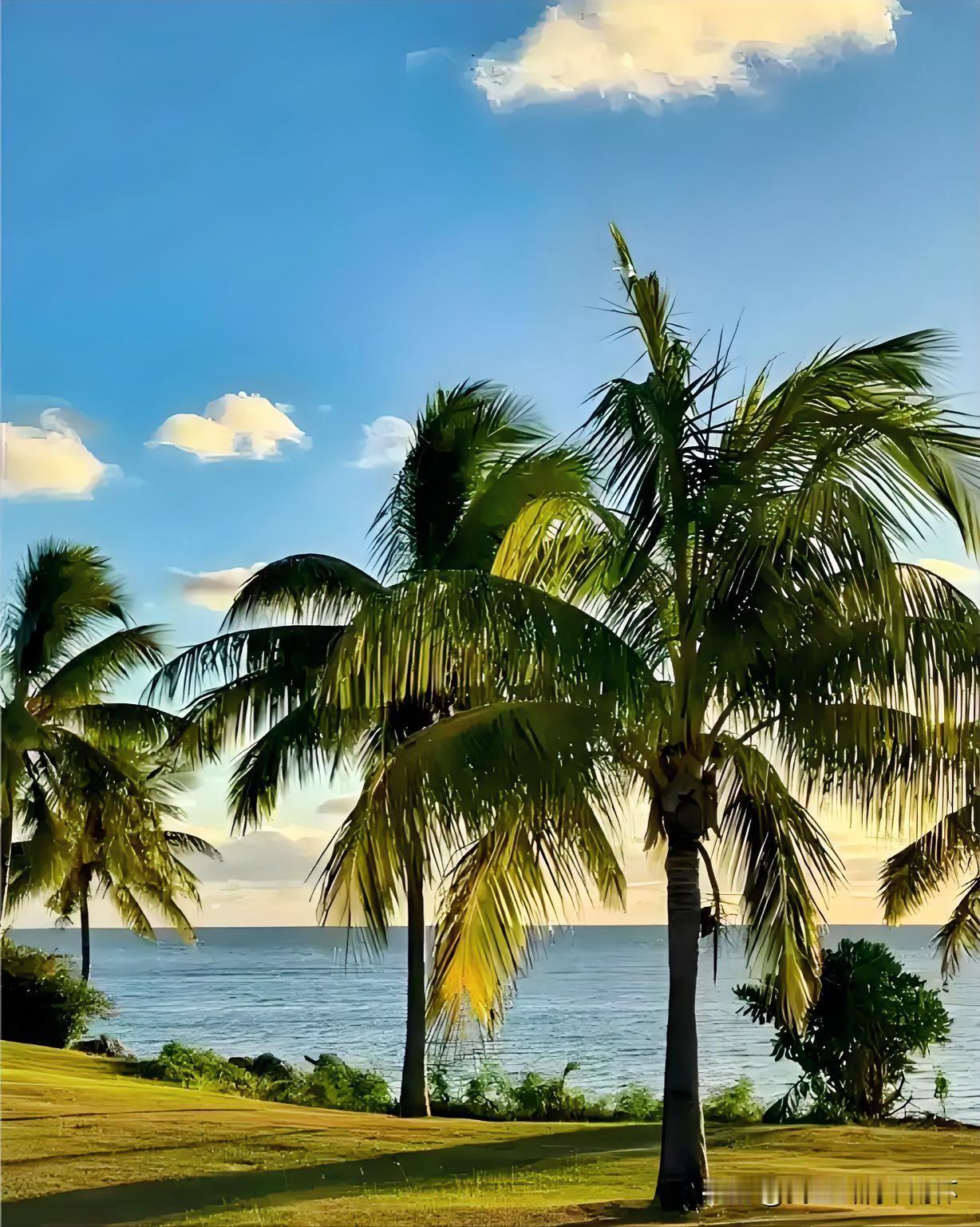 下联：海风椰韵夏威夷
上联：有请雅士[玫瑰][玫瑰][玫瑰]