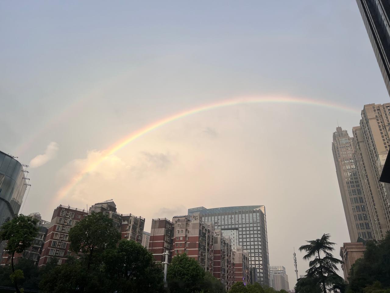 差不多同时看到彩虹和丁达尔效应
可以许愿了[灵光一闪]