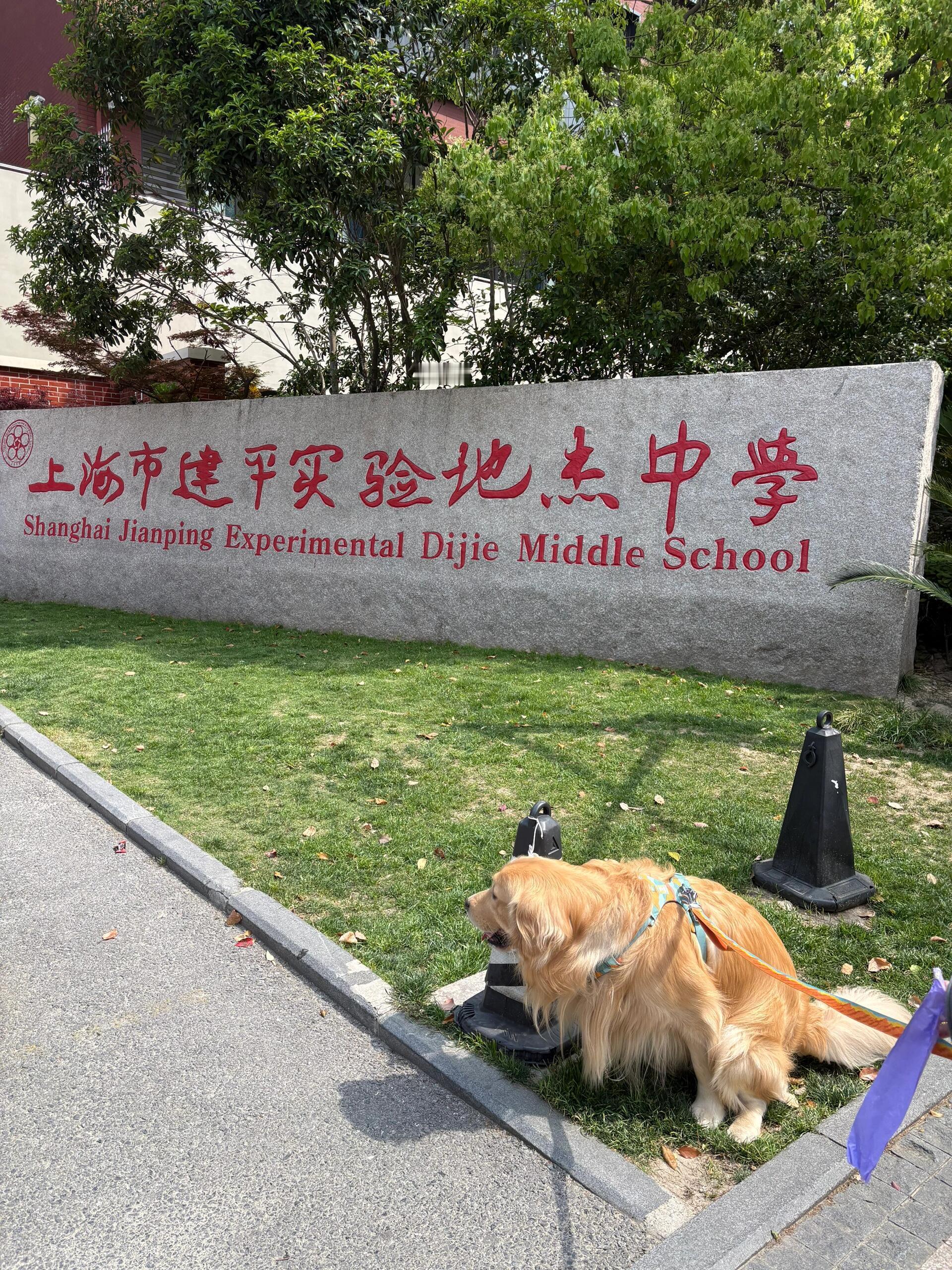 做学霸小狗，拉学区粑粑 ​​​
