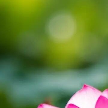 阳光信用[超话]  💫阳光信用  💫每日一善信任是人与人沟通的必要条件，人生