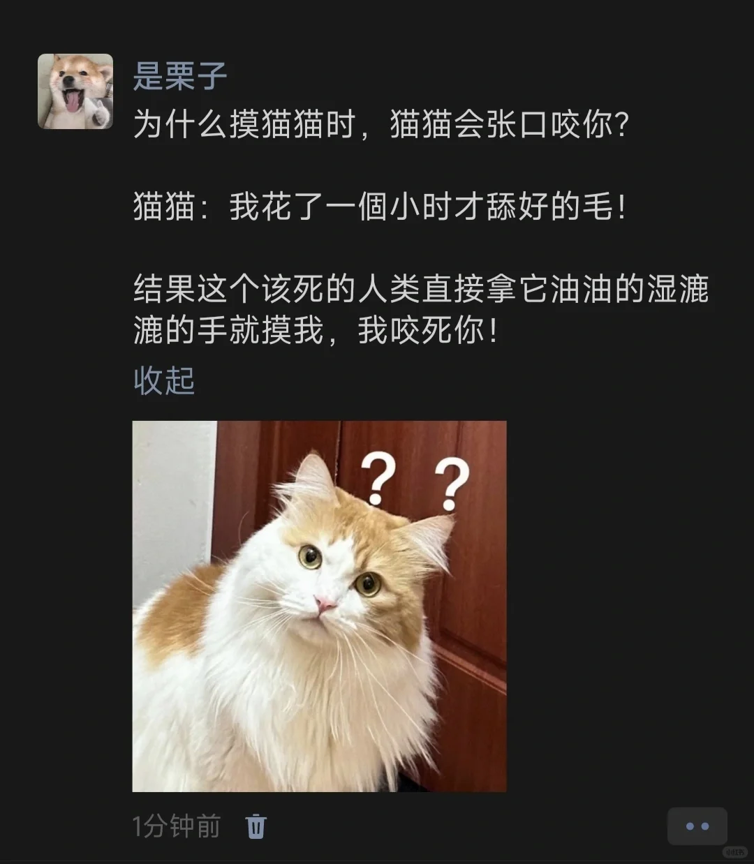 为什么摸猫猫时，猫猫会张口咬你？​