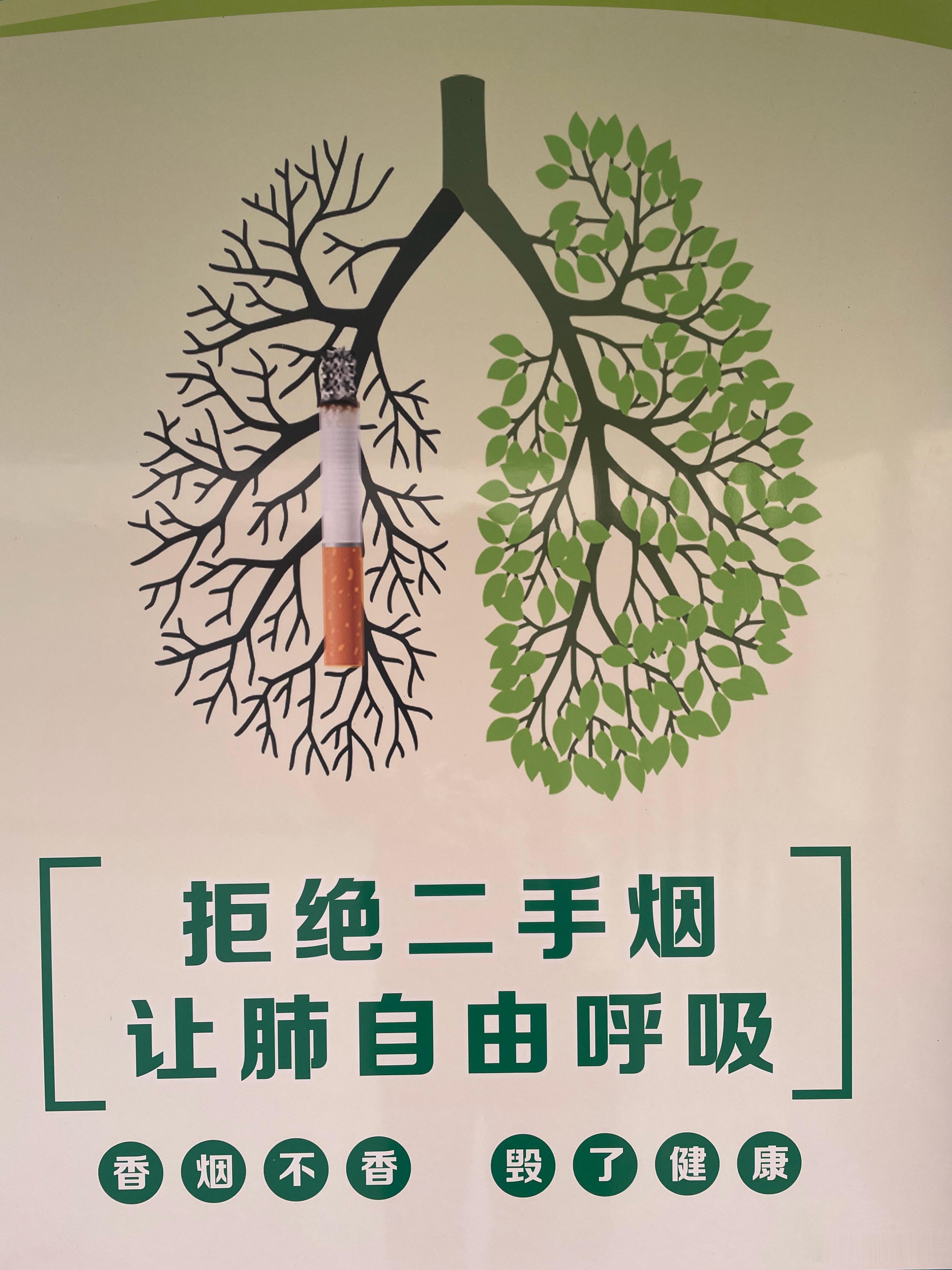 拒绝二手烟，让肺自由呼吸，香烟不香，毁了健康。吸二手烟感觉比吸这新鲜的甲醛好点，
