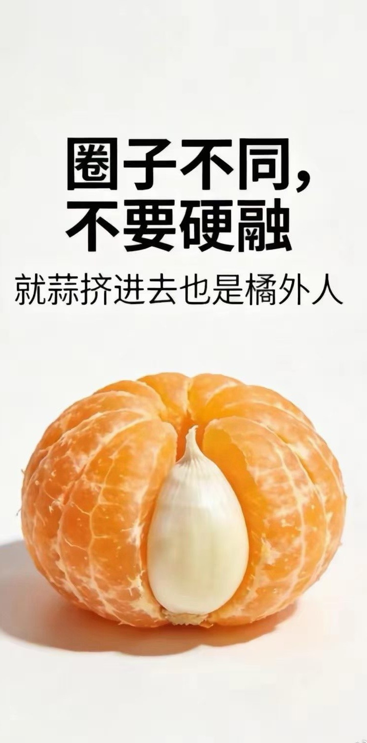 进入社会后，才知道不是一个圈子的人，你肯定融不进去。也逐渐明白了“言轻不劝人、身