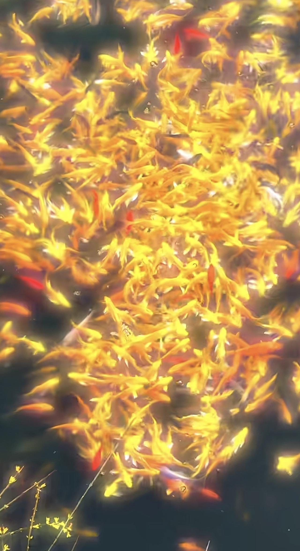 不用赶时间，不用想意义，就允许自己“没用”一会儿。这种不带目的的松弛感，好像比什