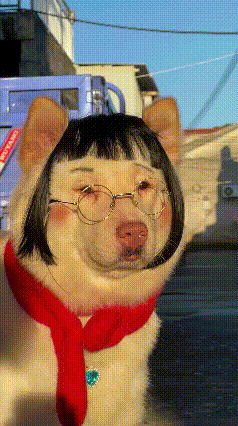 你说奇怪不奇怪？
这张脸，
我觉得又熟悉又陌生！
熟悉的像多年老友，
陌生的行同