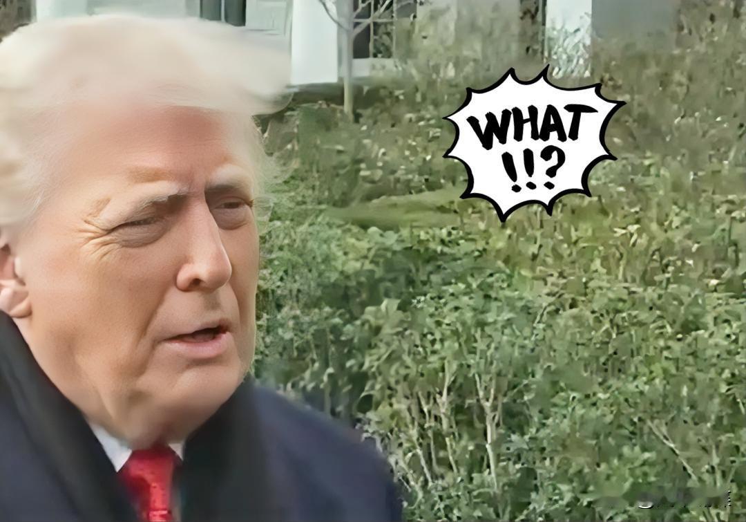 扣设备+截油轮！
美国40天连出“霸权招”，
是维护安全还是阻碍发展？
 
20