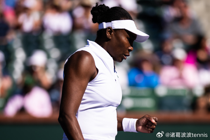 WTA1000迈阿密站公布正赛外卡名单📜大威廉姆斯再获外卡🇺🇸大威廉姆斯?