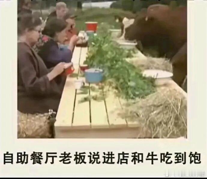 你就说是不是和牛吧 