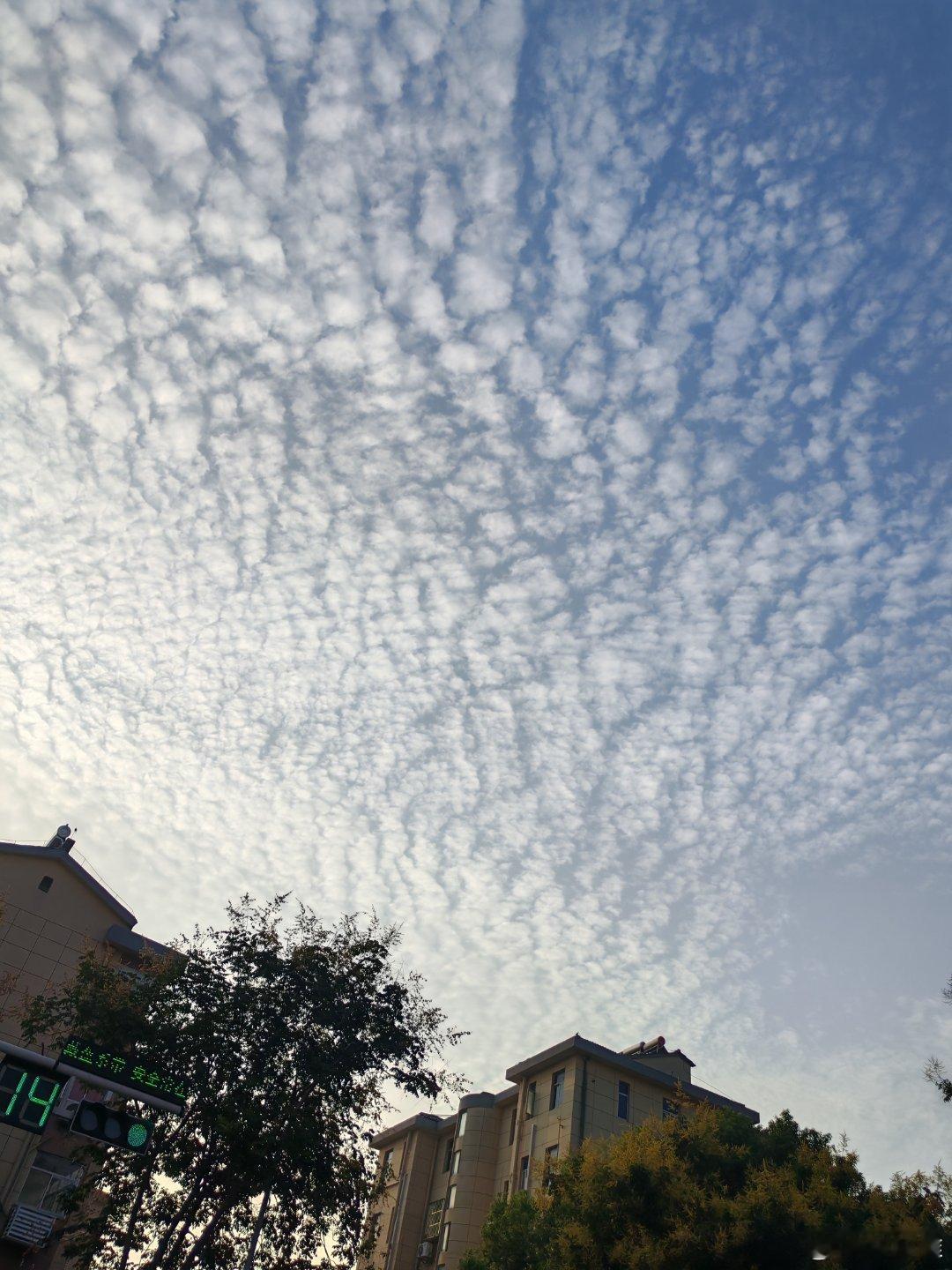 今天的云☁️是这样的，这是“鱼鳞云”吗。  ​​​