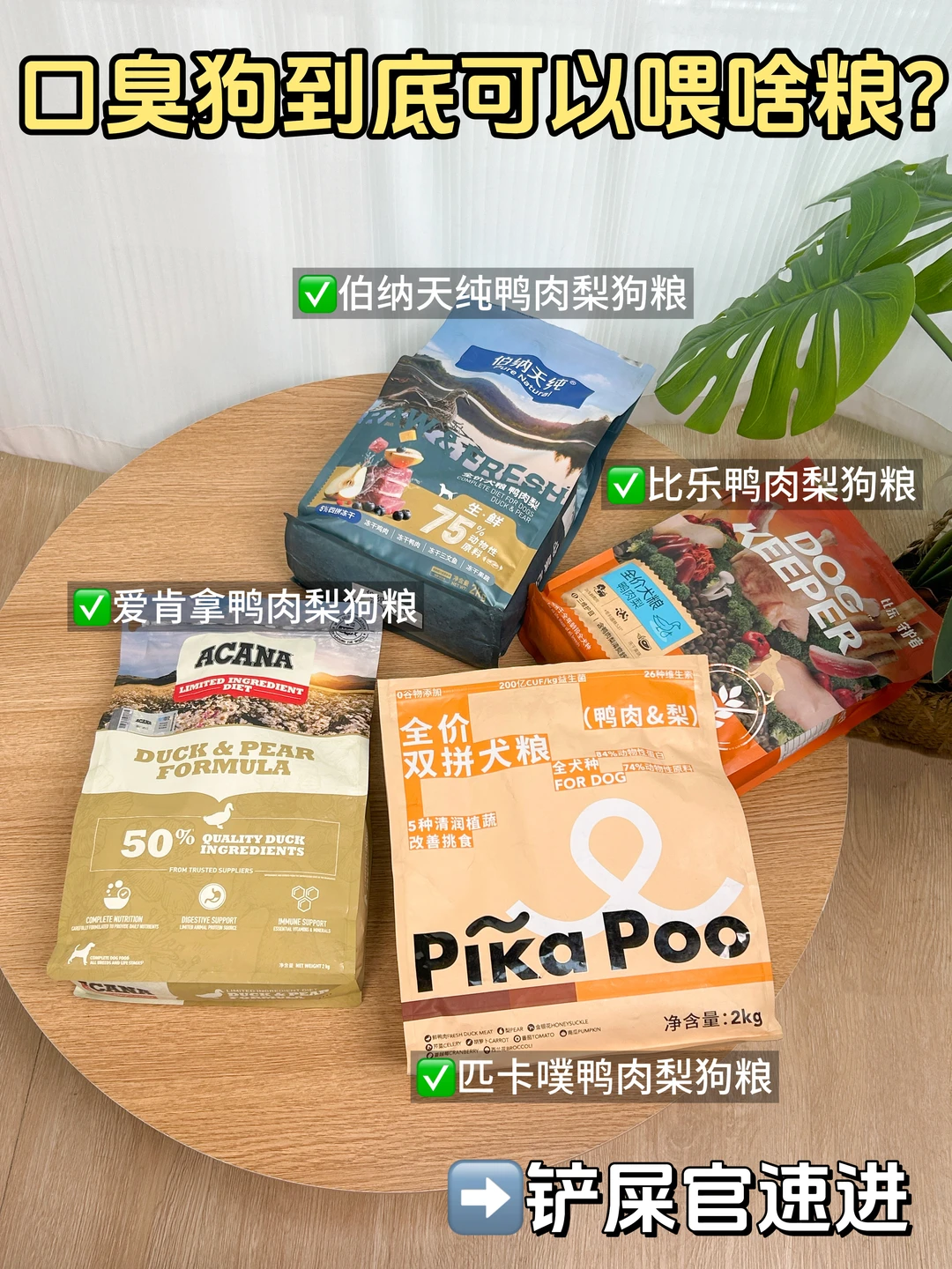 口臭狗到底能喂什么狗粮！？