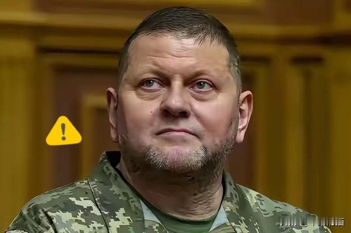 仗打完了，事儿就完了？乌克兰前总司令扎卢日内最近发出警告：等俄乌冲突一结束，乌克