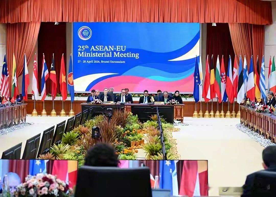 第25届东盟-欧盟部长级会议在文莱举行，卡拉斯在会上公开呼吁东南亚国家不要购买俄