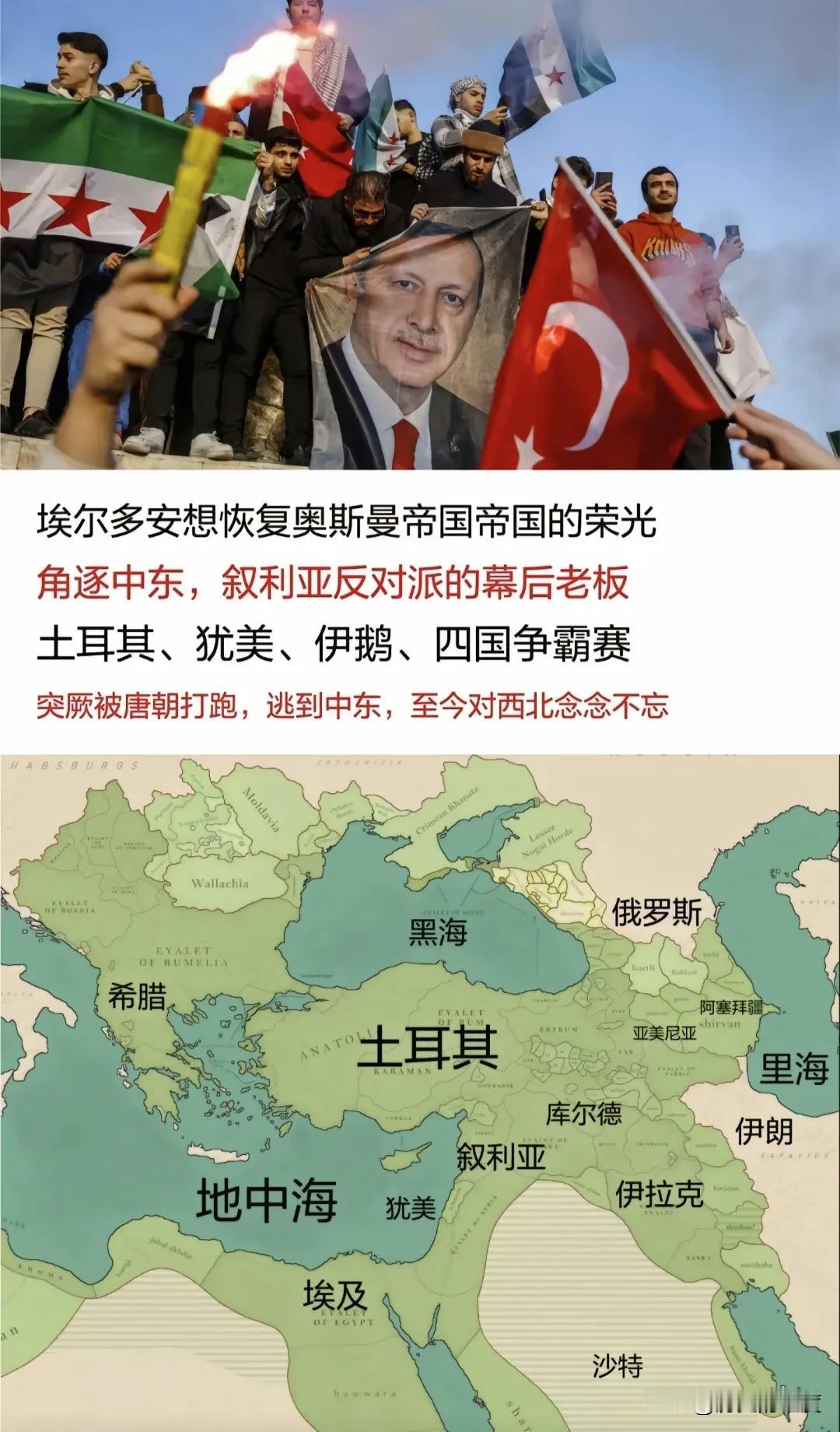 土耳其在这一次非常积极的加入到了叙利亚的势力范围的争夺，特别是土耳其的总统埃尔多