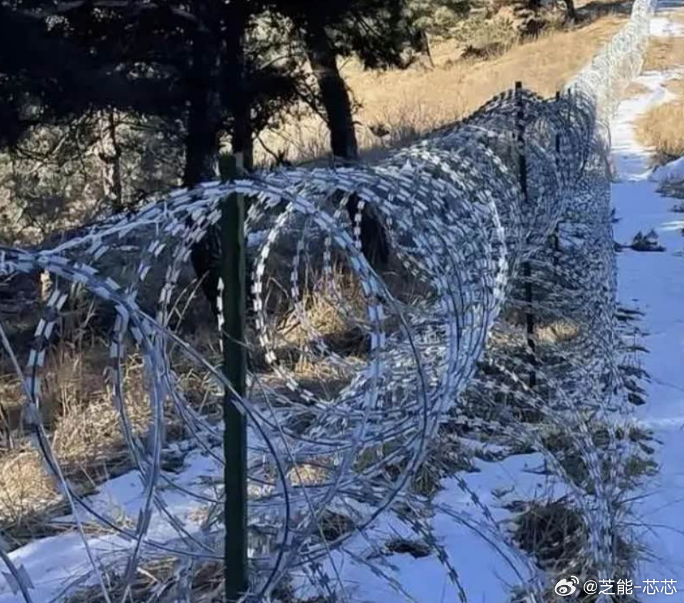 泰山不该被135公里刀片网一围了之 泰山这波操作真是让人绷不住！花两千多万拉13