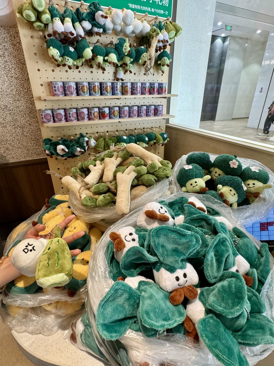 青岛新开的！免费送！！！冲！！！