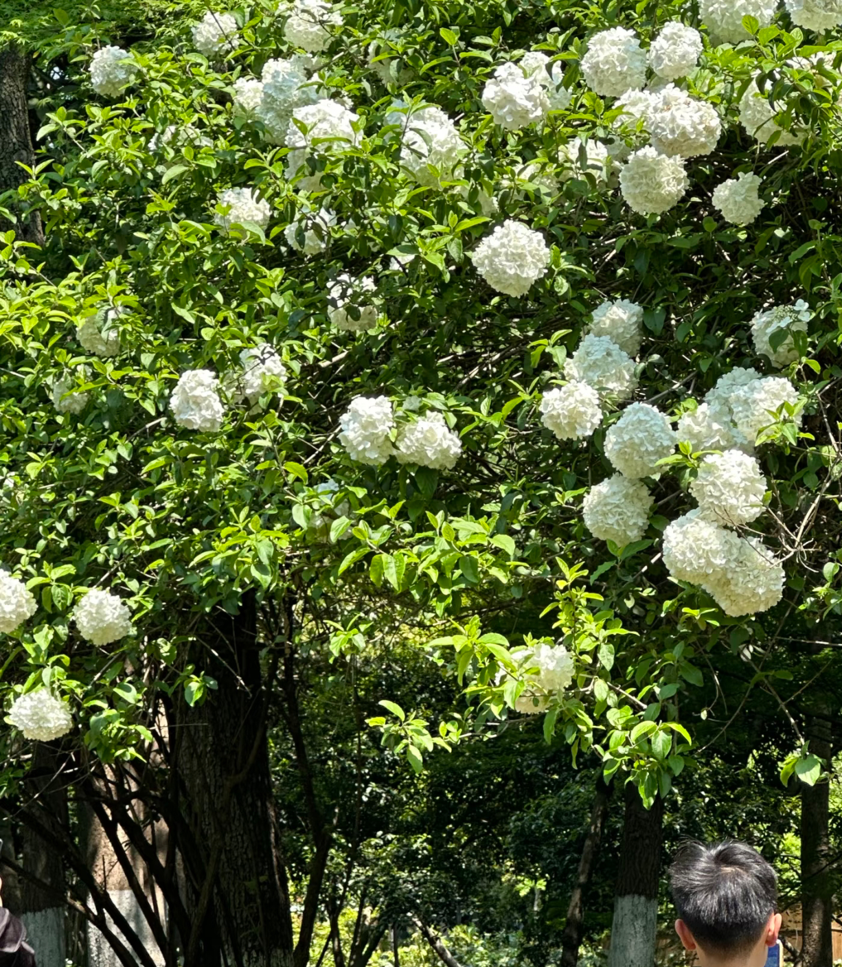 30秒瞬间回血心法，写给大学生的情绪急救指南大学生常会被学业压力、考试焦虑、人际