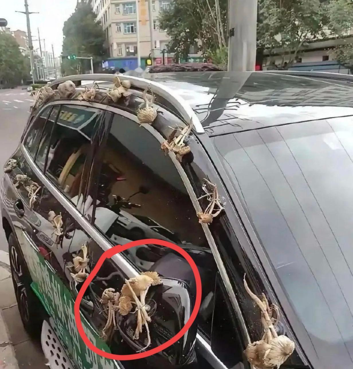 老婆:老公，今天家里新买了一辆车，拿2000元去把车膜贴一下。
老公:老婆，车蘑