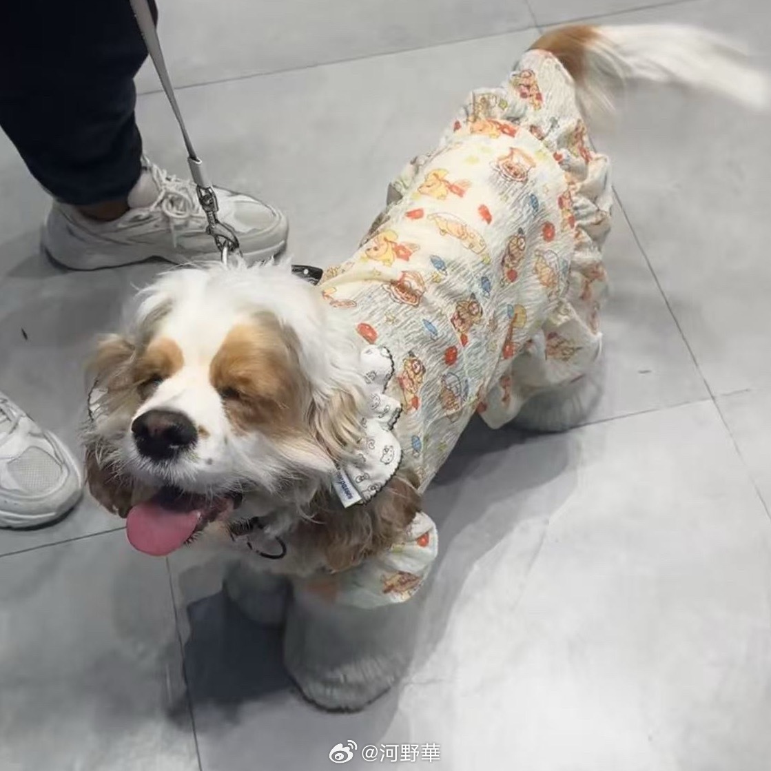 我发现我喜欢/有好感的人：渡边麻友，张元英，鞠婧祎，有很大的共同点！正统王道的偶