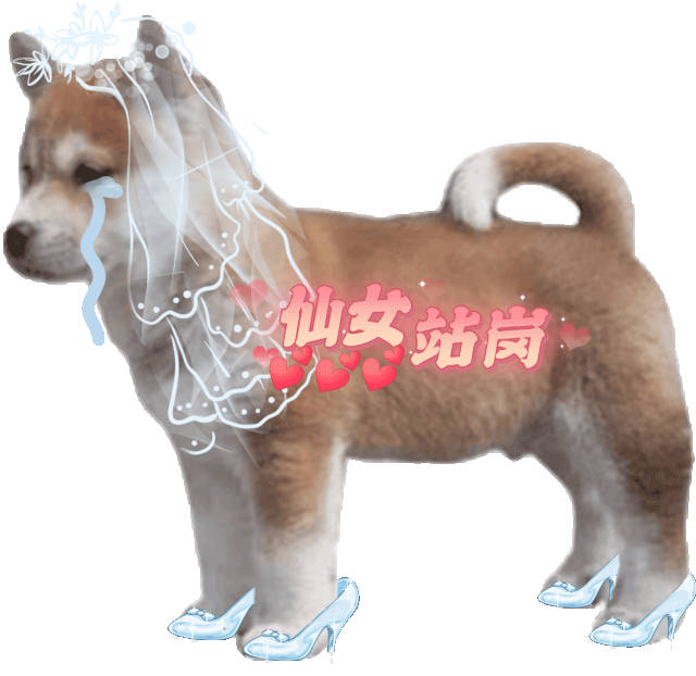 换一张表情包，换一种心情~ 更新不易，拿图点赞[心]更多表情包请看主页[心] ​