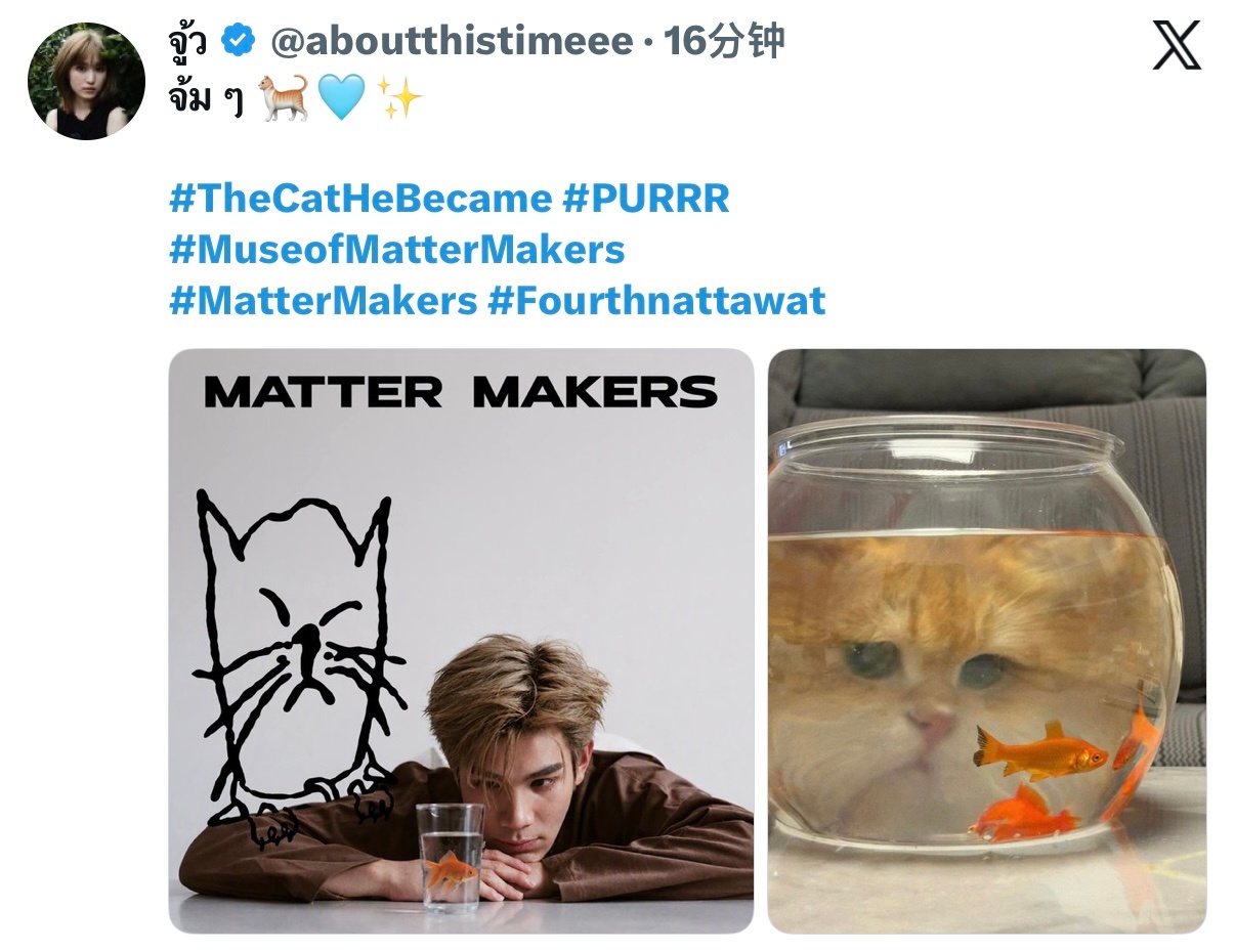 🐟猫星人来访 ​​​