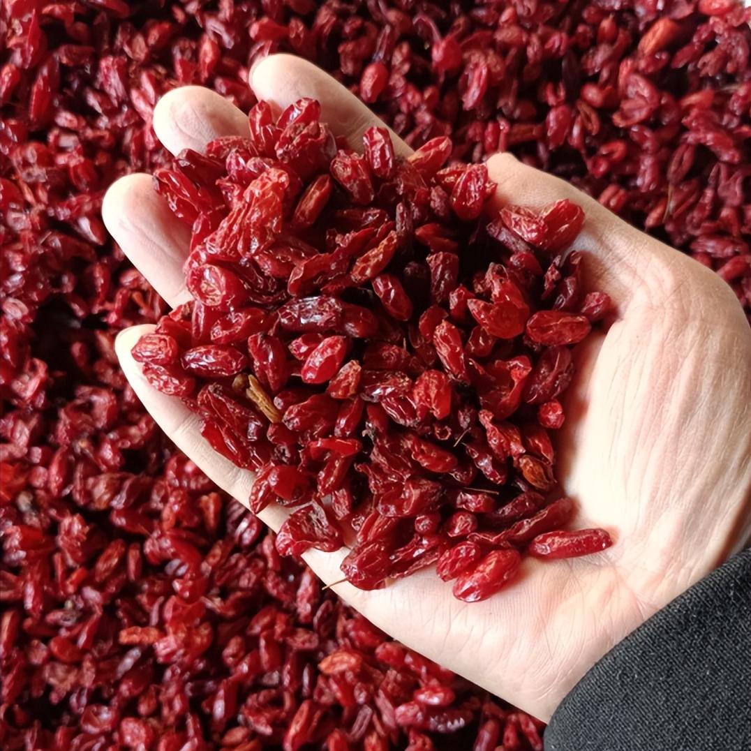 阳痿早泄，就是纸老虎，四味药泡水喝，肝肾同补


今天和大家分享一套简洁的调理思