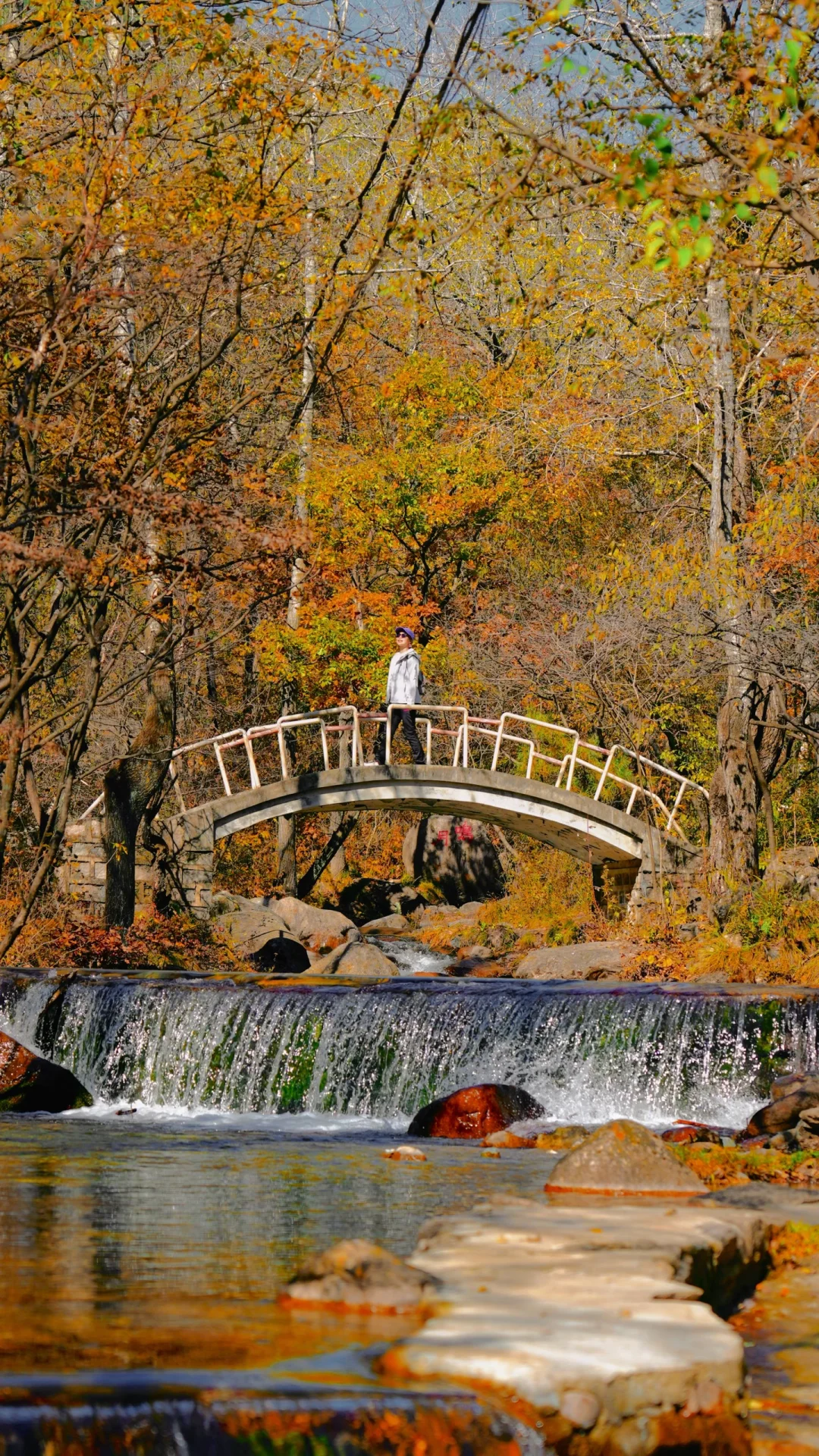 北京城区出发1.5h🚗京郊小众秋色如约而至‼️