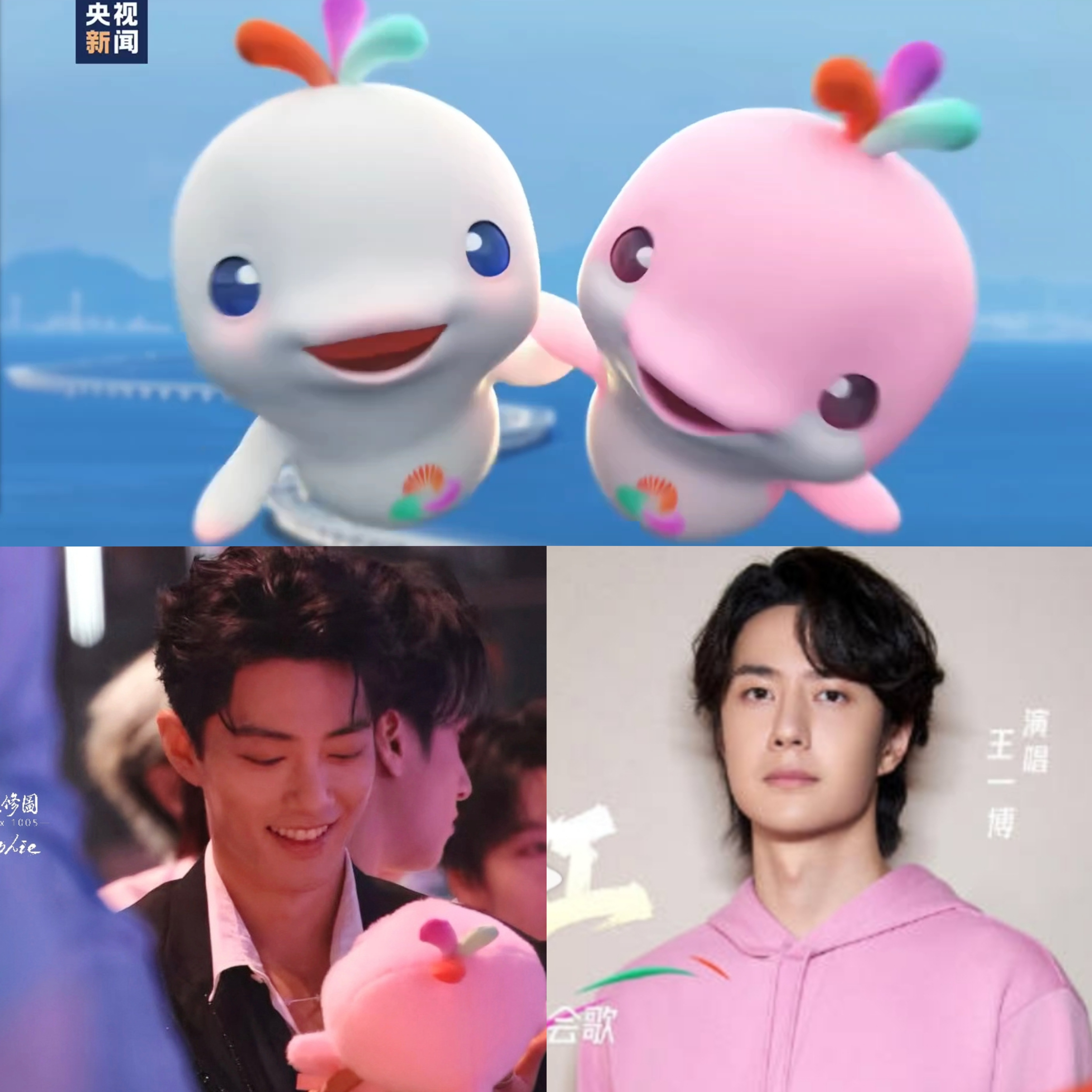 博君一肖 报喜[兔子]来啦，一切有迹可循💞 ​​​