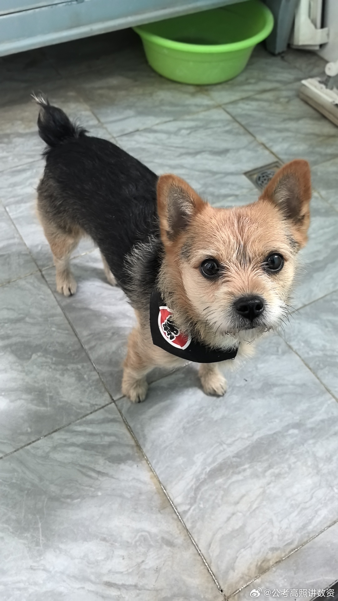 26北京市考公告招录人数：3694人（去年4487人）增长量：3694−4487